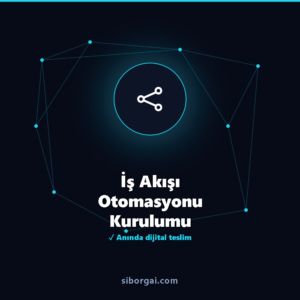 İş Akışı Otomasyonu Kurulumu — siborgai yapay zekâ sistemi