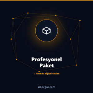 Profesyonel Paket — siborgai yapay zekâ sistemi