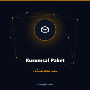Kurumsal Paket — siborgai yapay zekâ sistemi
